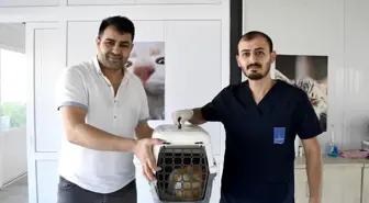 Kuşadası Belediyesi'nden Kedi Kısırlaştırma Merkezi