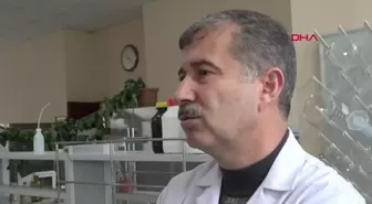 Zencefildeki Kurkumin Antioksidanı Araştırması İle Ödül Kazandı