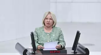 CHP Milletvekili Ağbaba, MHP ve Cumhur İttifakı'nı eleştirerek tartışma yaşattı