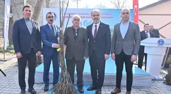 Bursa Büyükşehir Belediyesi, çiftçilere gal arısına dayanıklı kestane fidanı dağıttı