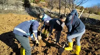 Kütahya'da Delice Ceviz Fidanlarıyla Demonstrasyon Bahçesi Kuruldu