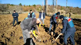Kütahya'da Delice Ceviz Fidanlarıyla Demonstrasyon Bahçesi Kuruldu