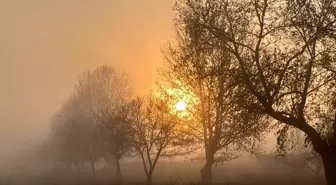 Eskişehir'de Yoğun Sis Etkili Oldu