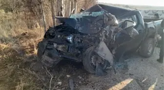 Sivas'ta kamyonet ağaca çarptı: 1 ölü