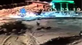 Ardahan'da kurt sürüsü köpeğe saldırdı, güvenlik kamerasına yansıdı