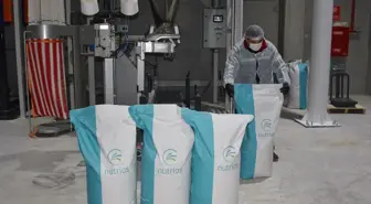 Afyonkarahisar'da kırık yumurtalar hayvan yemi katkı maddesine dönüştürülüyor