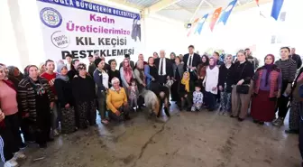 Muğla Büyükşehir Belediyesi, Kadın Üreticilere Kıl Keçisi Dağıtımı Gerçekleştirdi