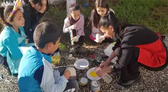 Yozgat'ta Öğrencilerden Sokak Kedileri İçin Barınak