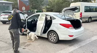 Bodrum'da yeni yıl denetimleri sıklaştırıldı