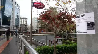 Bir garip evlilik ilanı! Görenler şaşkınlığını gizleyemiyor: Böylesine hiç rastlamadım 