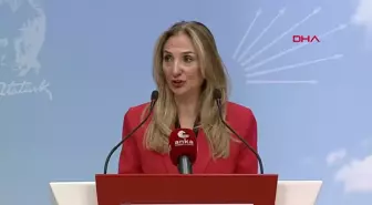 CHP Genel Başkan Yardımcısı Aylin Nazlıaka: 'YaşamHak' Projesiyle Şiddet Mağduru Kadınlara Destek Olduk