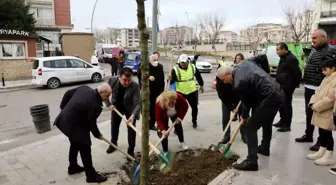 Büyükçekmece'de 2024'e ağaç dikerek girildi