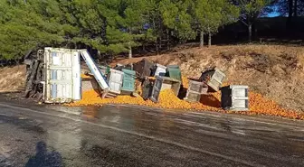 Denizli'de Kamyonun Dorsesi Koptu, Tonlarca Mandalina Yola Saçıldı