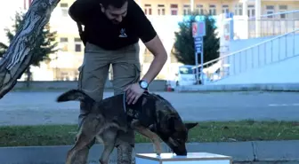 Bingöl İl Emniyet Müdürlüğü'nün Köpekleri Uyuşturucuya Geçit Vermiyor