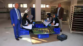 Akşehir Belediyesi 2023 Yılında Onlarca Proje Gerçekleştirdi