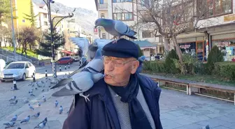 85 Yaşındaki Kadir Ay, Güvercinlere Leblebi Veriyor