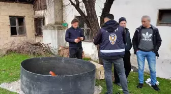 Kütahya'da horoz dövüşü operasyonu: 8 gözaltı