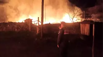 Sinop'ta yangında 5 ev zarar gördü, 2 kişi hayatını kaybetti