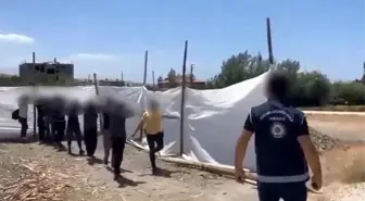 Van'da 263 Göçmen Kaçakçılığı Organizatörü Tutuklandı