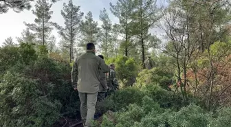 Marmaris'te kaybolan İsa Çifçi için arama çalışmaları devam ediyor