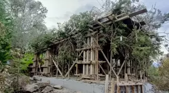 Bodrum'da ağaç dallarıyla gizlenen kaçak inşaat tespit edildi