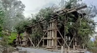 Bodrum'da Kaçak İnşaat Ağaç Dallarıyla Gizlenmiş