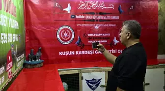 Çevrim İçi Düzenlenen Kuş Mezadında Yoğun İlgi