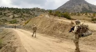 Diyarbakır'da 1 Yılda 102 Milyon Kök Kenevir ve 47 Ton Esrar Ele Geçirildi