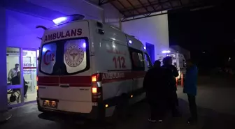 İskenderun'da Balon Balığı Zehirlenmesi: 2'si Çocuk 7 Kişi Hastanede Tedavi Altına Alındı