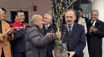 Siirt'te Üreticilere Yüzde 75 Hibeyle 100 Bin Adet Fıstık Fidanı Dağıtıldı