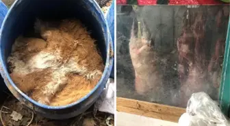 Site otoparkını mezbahaya çevirmişler! Tamı tamına 1,5 ton et ele geçirildi