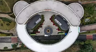 Çin Dev Pandaları Chongqing'deki Hayvan Tema Parkı'na Nakledildi