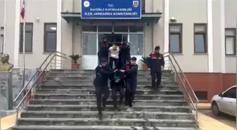 Osmaniye'de Atatürk'e, şehitlere ve vatana hakaret eden 2 kardeş tutuklandı