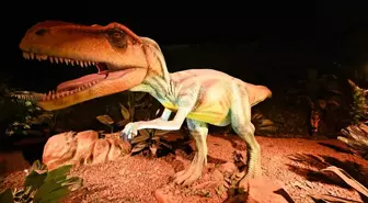 Brüksel'de Dinozor Sergisi Ziyaretçi Akınına Uğruyor