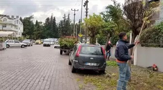 Marmaris Belediyesi Park ve Bahçeler Müdürlüğü Çalışmalarına Devam Ediyor