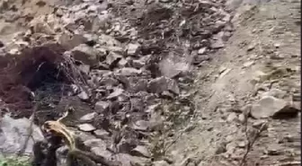 Rize Hemşin'de heyelan: Yol toprak ve taşlarla kaplandı