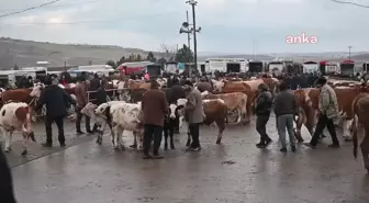 Şap Hastalığı Nedeniyle Canlı Hayvan Pazarları Kapatıldı