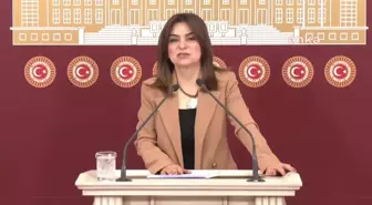 Gülistan Kılıç Koçyiğit: 'Gelin Bu Darbeye Hep Beraber Direnelim'