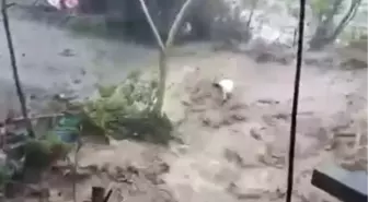 Hatay'da sağanak yağış sonucu sel ve heyelan meydana geldi