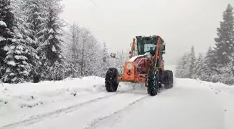 Trabzon'un yüksek kesimlerinde kar yağışı