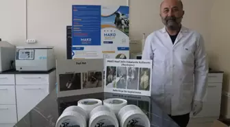 MAKÜ, yerli jel ile hayvanların ayak ve tırnak yaralarını tedavi ediyor