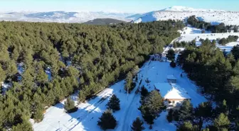 Erzincan'ın Refahiye ilçesindeki Dumanlı Tabiat Parkı, doğal güzelliğiyle turistlerin ilgisini çekiyor