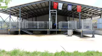 Kocaeli Büyükşehir Belediyesi Mezbahası'nda 2023 yılında insan sağlığını koruyan teknoloji ile 7 bin 672 hayvanın helal kesimi yapılırken, kasaplara 2 milyon 41 bin 969 kilo sağlıklı et teslim edildi