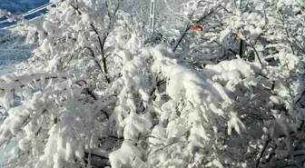 Ardahan'ın Posof ilçesinde yoğun kar yağışı