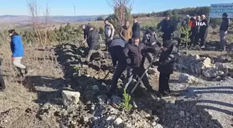 Soğuk havaya aldırmayan Tokatlılar fidan dikmek için birbirleriyle yarıştı