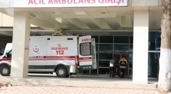 Afyonkarahisar'ın Sandıklı ilçesinde ağaç kesimi sırasında genç hayatını kaybetti