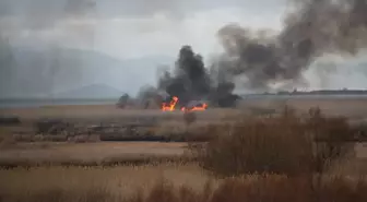 Beyşehir Gölü Milli Parkı'nda Sazlık Alanında Yangın Çıktı