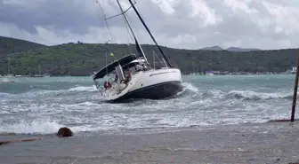 Bodrum'da Fırtına: Tekneler Battı, Ağaçlar Devrildi, İşletmeler Zarar Gördü