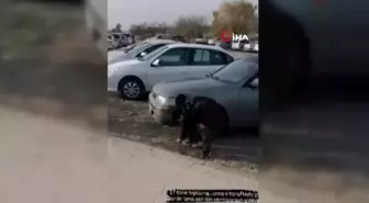 Erzincanlı minik, engelliler için 60 bin 'mavi kapağı' bin kilometreden getirtti