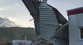 İzmir'in Karaburun ilçesinde fırtına hasara neden oldu